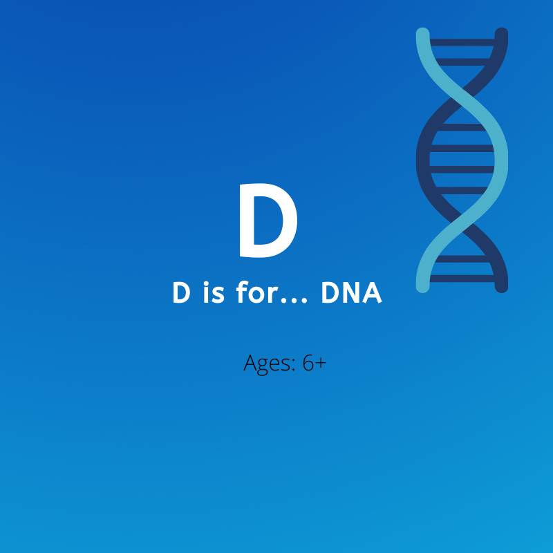 D is for DNA